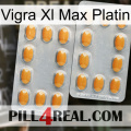 Vigra Xl Max Platinum cialis4